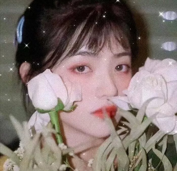 我们恋爱吧第一季